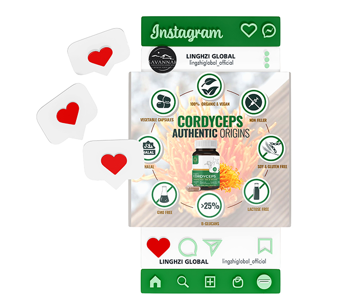 1Instagram_Mockup_01